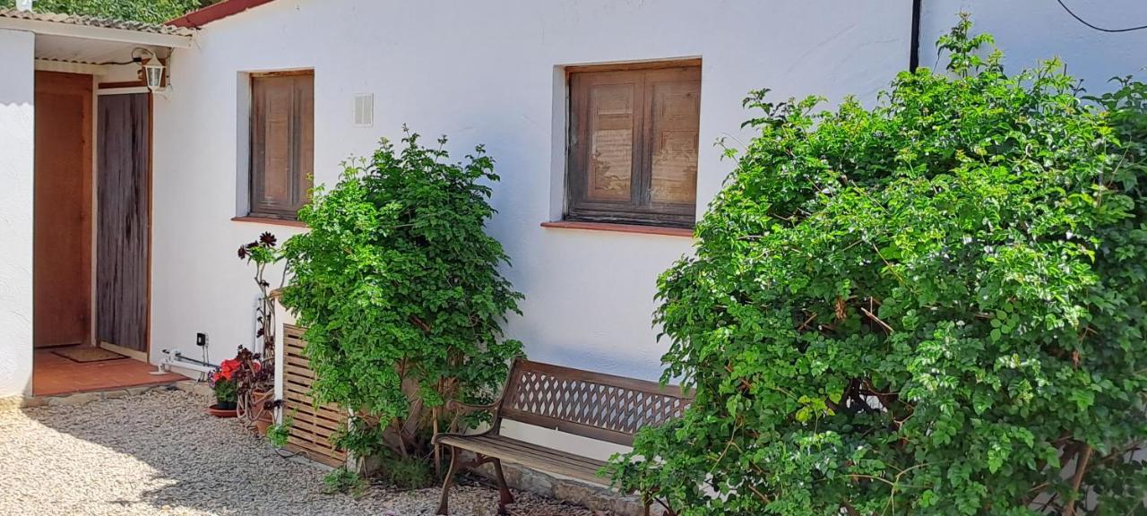 Finca Gamundi L'Ampolla Ngoại thất bức ảnh