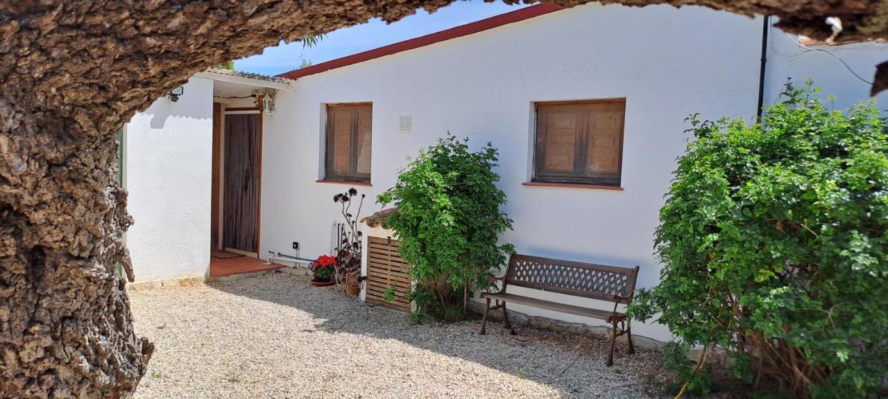 Finca Gamundi L'Ampolla Ngoại thất bức ảnh