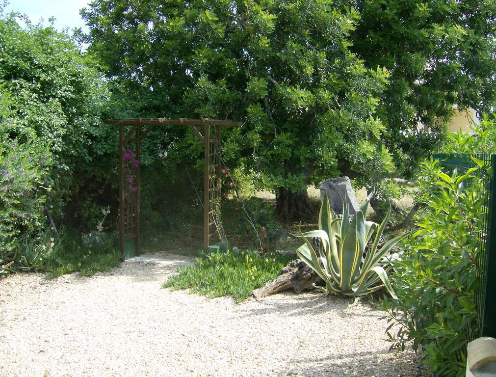 Finca Gamundi L'Ampolla Ngoại thất bức ảnh
